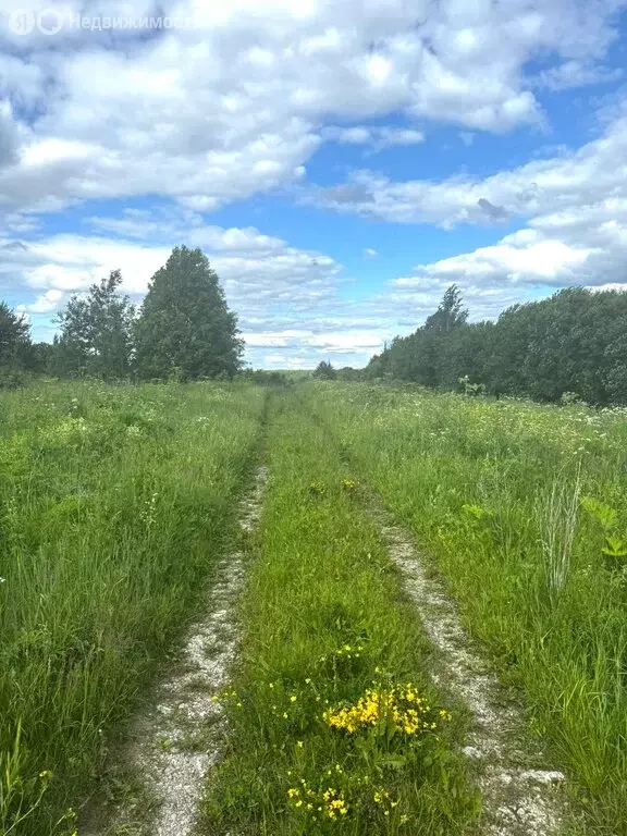 Участок в Ленинское сельское поселение, деревня Чирки (795 м) - Фото 2