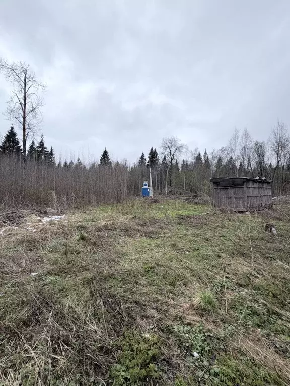 Участок в Московская область, Одинцовский городской округ, Лесное ... - Фото 0