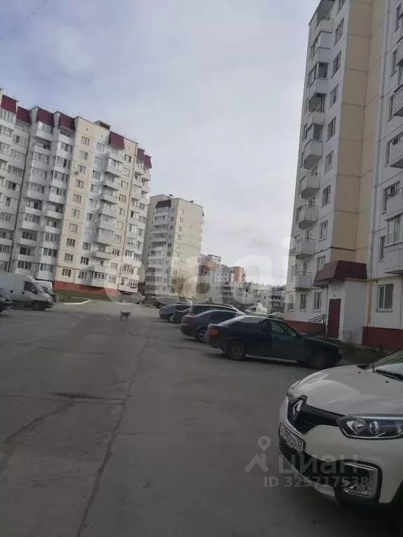 1-к кв. Брянская область, Брянск ул. Романа Брянского, 29 (32.4 м) - Фото 1