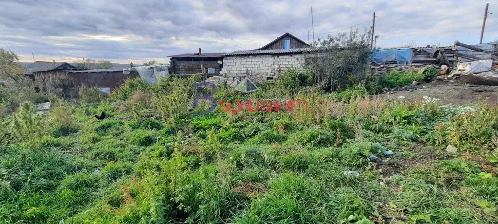 Участок в Челябинская область, Чебаркульский район, Травниковское ... - Фото 0