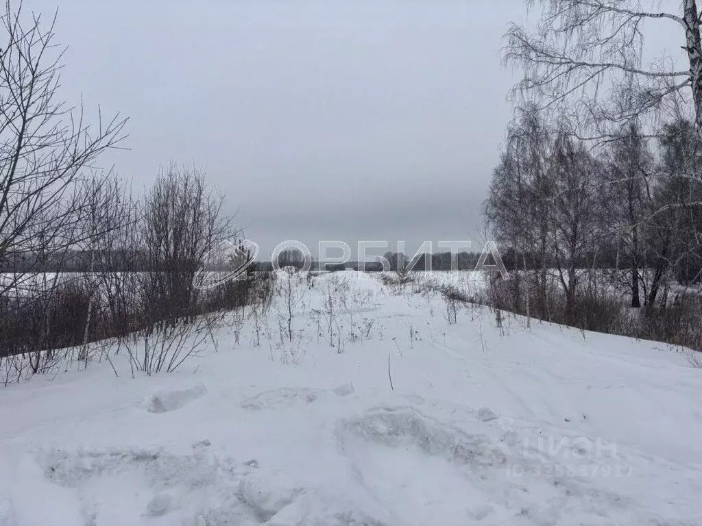 Участок в Тюменская область, Тюменский муниципальный округ, ... - Фото 2