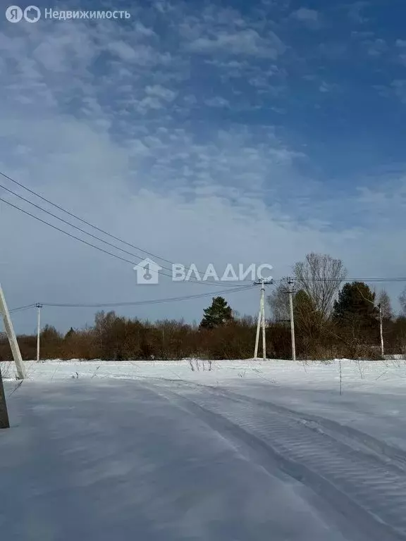 Участок в деревня Кремёнки, 231 (9.45 м) - Фото 2