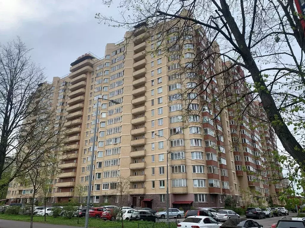 Студия Санкт-Петербург Кондратьевский просп., 70к1 (22.7 м) - Фото 0