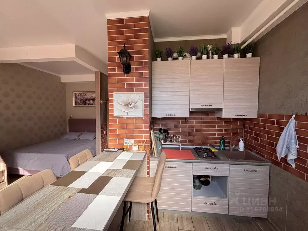 Студия Краснодарский край, Сириус пгт ул. Ружейная, 21 (27.0 м) - Фото 1
