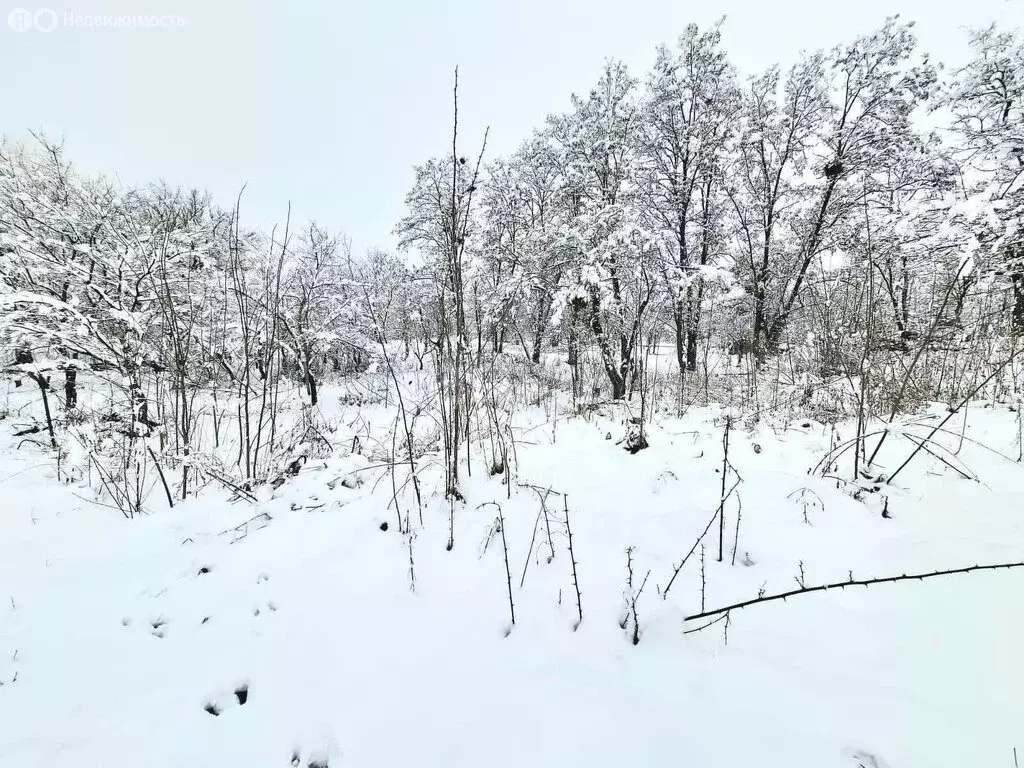 Участок в хутор Гавердовский, Советская улица (15.9 м) - Фото 1