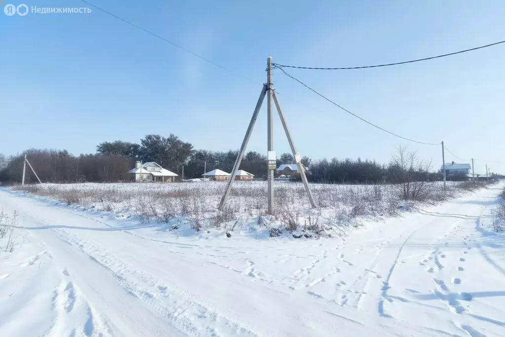 Участок в село Нежинка, Новогодняя улица (16 м) - Фото 1