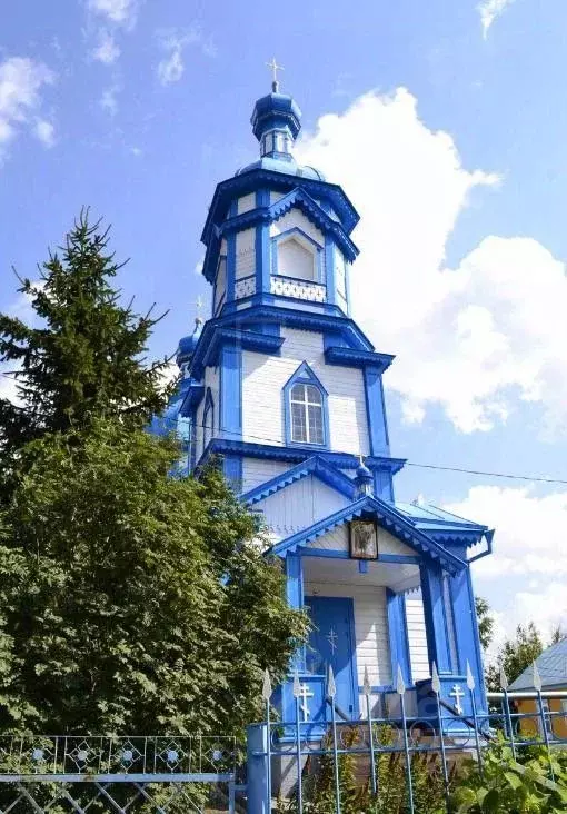 Участок в Тамбовская область, Знаменский муниципальный округ, с. ... - Фото 2