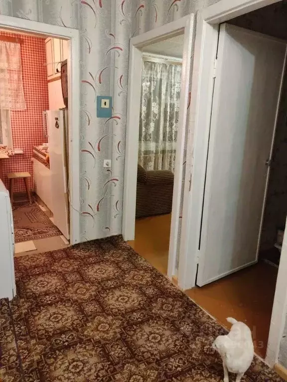 2-к кв. Свердловская область, Екатеринбург ул. Белореченская, 24к4 ... - Фото 2