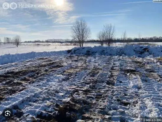 Участок в Ставропольский край, Шпаковский муниципальный округ, село ... - Фото 2