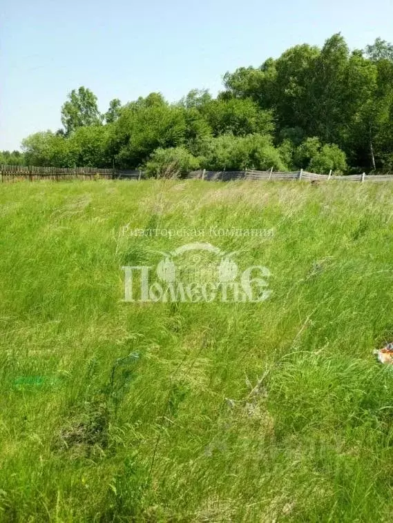Участок в Иркутская область, Шелеховский район, Баклашинское ... - Фото 1