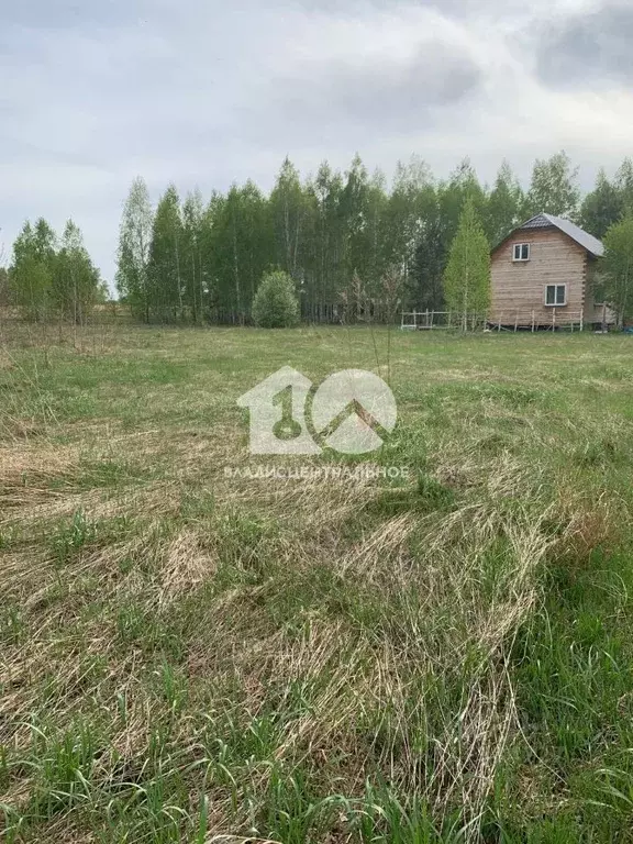 Участок в Новосибирская область, Искитимский район, Быстровский ... - Фото 0