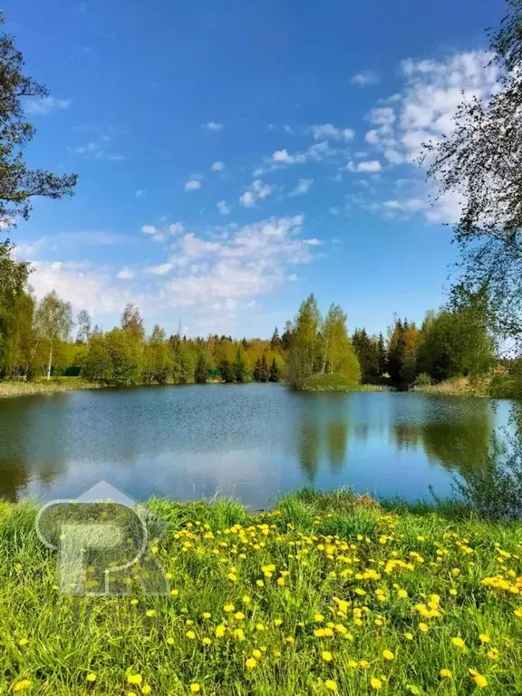 Участок в Москва д. Архангельское, Зосимово кп,  (25.0 сот.) - Фото 2