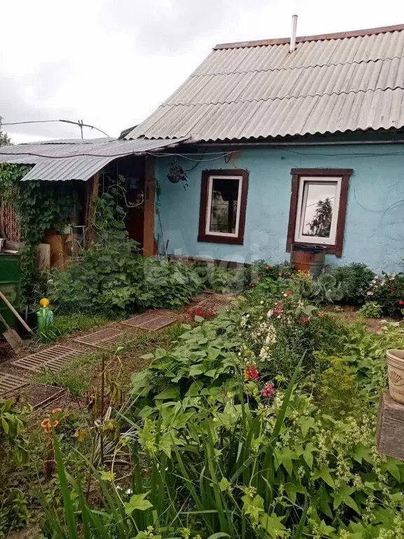 Дом 38 м на участке 3 сот. - Фото 1