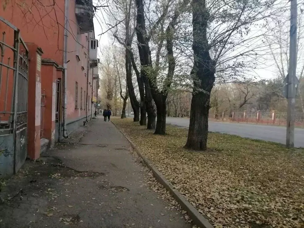 Помещение свободного назначения в Иркутская область, Иркутск ул. Розы ... - Фото 1