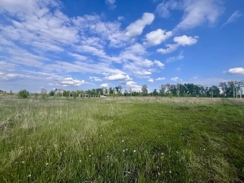 Участок в Воронежская область, Воронеж ул. Георгия Менглета (6.0 сот.) - Фото 2