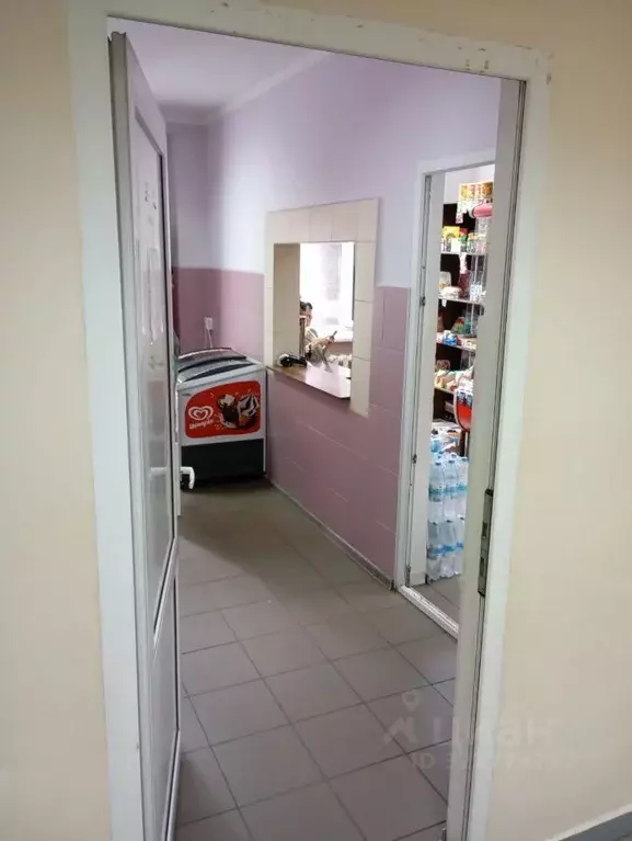 Помещение свободного назначения в Омская область, Омск ул. Куйбышева, ... - Фото 1