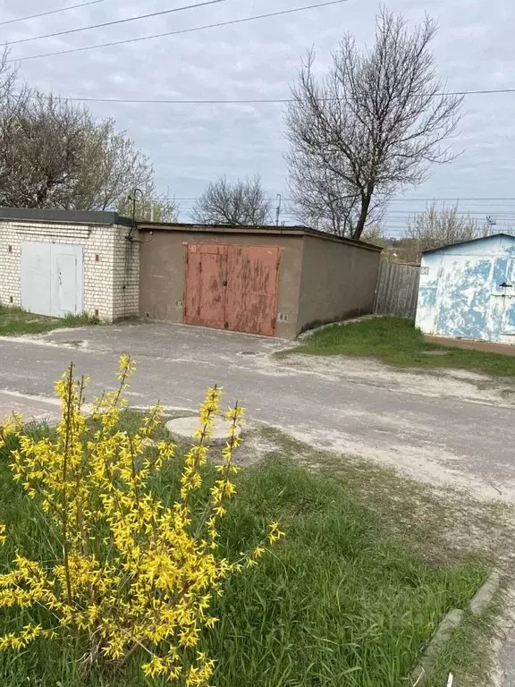 Гараж в Белгородская область, Белгород Советская ул. (32 м) - Фото 0