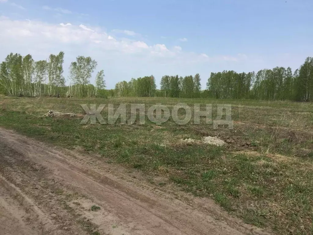 Участок в Новосибирская область, Новосибирский район, Станционный ... - Фото 0