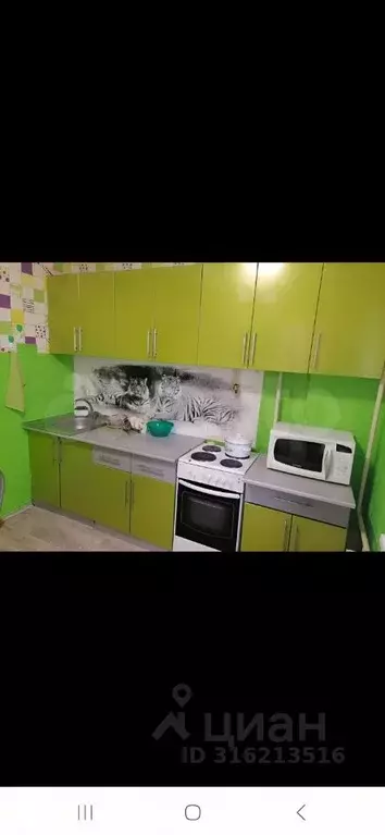 1-к кв. Белгородская область, Белгородский район, Дубовское с/пос, ... - Фото 1