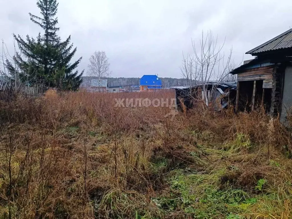 Дом в Новосибирская область, Новосибирский район, с. Барышево ул. ... - Фото 1