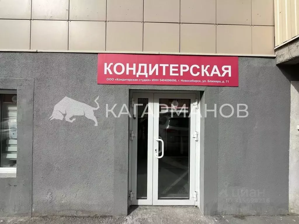Помещение свободного назначения в Новосибирская область, Новосибирск ... - Фото 1