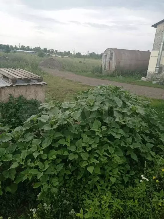 Участок 10 сот. (СНТ, ДНП) - Фото 1