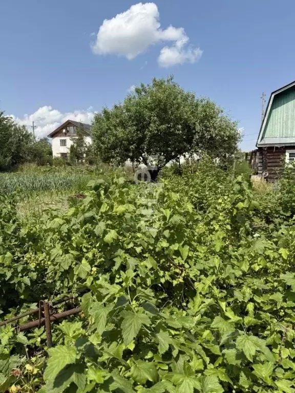 Участок в Нижегородская область, Нижний Новгород д. Ройка, 136 (8.7 ... - Фото 2