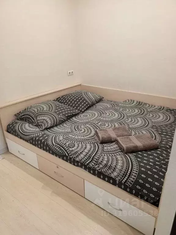 Студия Алтайский край, Барнаул просп. Строителей, 18 (24.0 м) - Фото 0