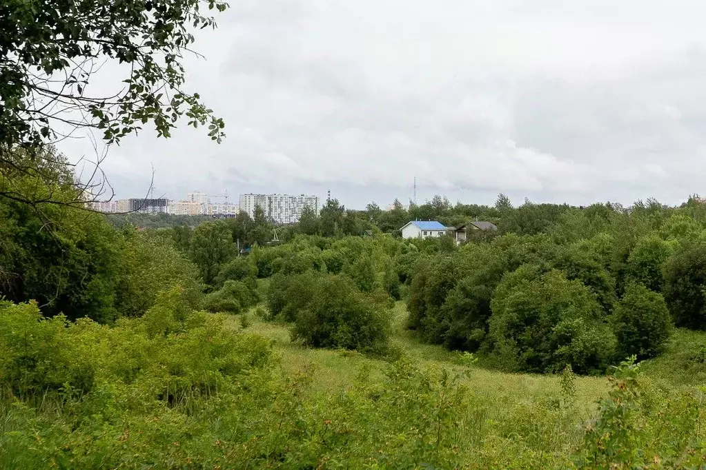 Участок в Владимирская область, Суздальский район, Новоалександровское ... - Фото 0