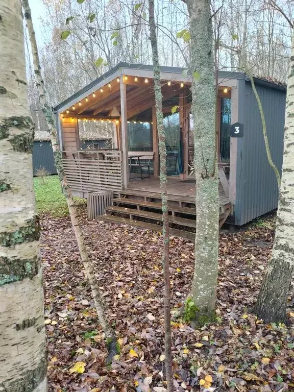 Дом в Ленинградская область, Ломоносовский район, Пениковское с/пос, ... - Фото 2