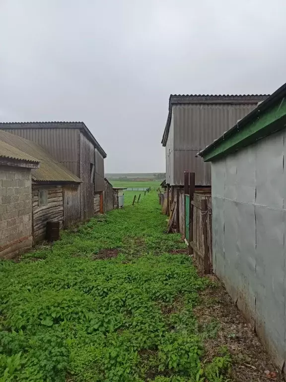 Дом в Башкортостан, Илишевский район, Черекулевский сельсовет, с. ... - Фото 2