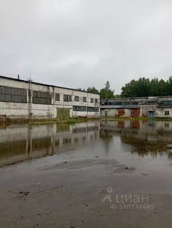 Помещение свободного назначения в Томская область, Стрежевой ул. ... - Фото 1