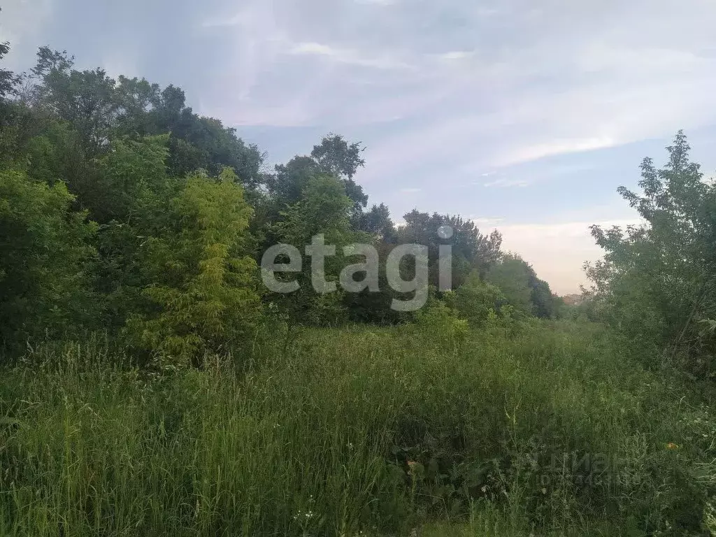 Участок в Тульская область, Тула городской округ, с. Маслово ул. ... - Фото 1