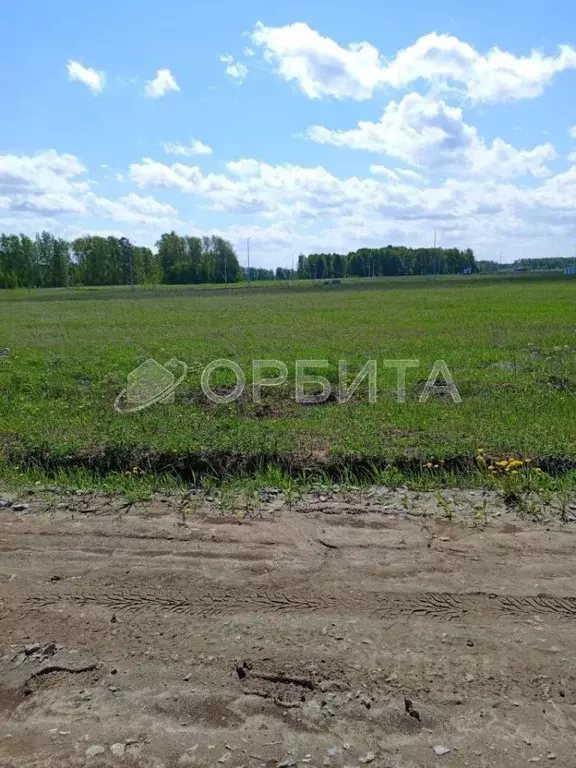 Участок в Тюменская область, Тюменский район, Новокаменский кп ул. ... - Фото 0