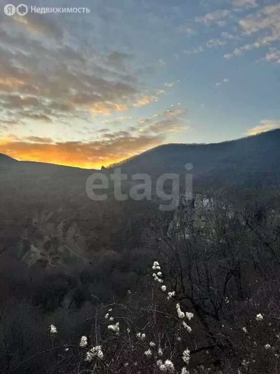 Участок в Белогорский район, Криничненское сельское поселение, село ... - Фото 2
