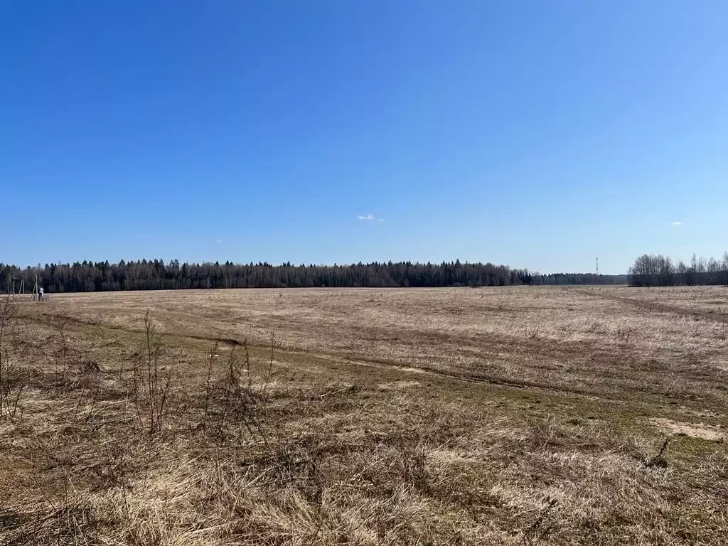 Участок в Московская область, Рузский городской округ, д. Ваюхино  ... - Фото 1