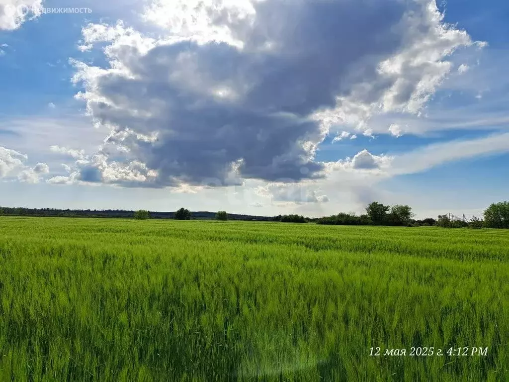 Участок в Краснодарский край, Темрюк (9 м) - Фото 1