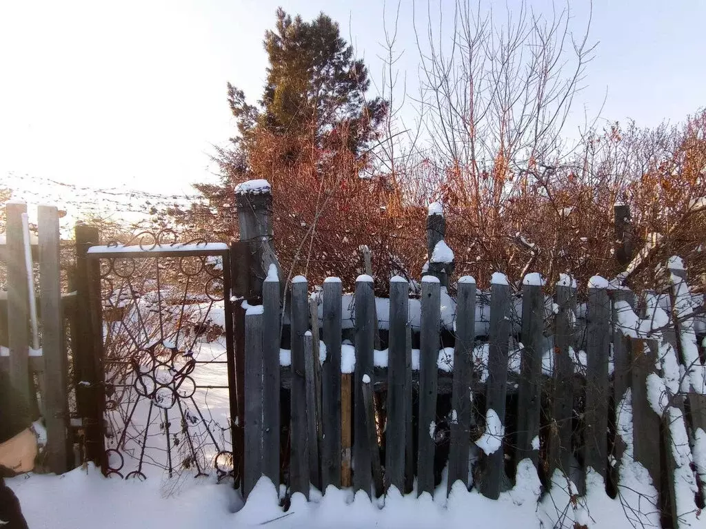 Участок в Омск, микрорайон Входной (16.5 м) - Фото 1