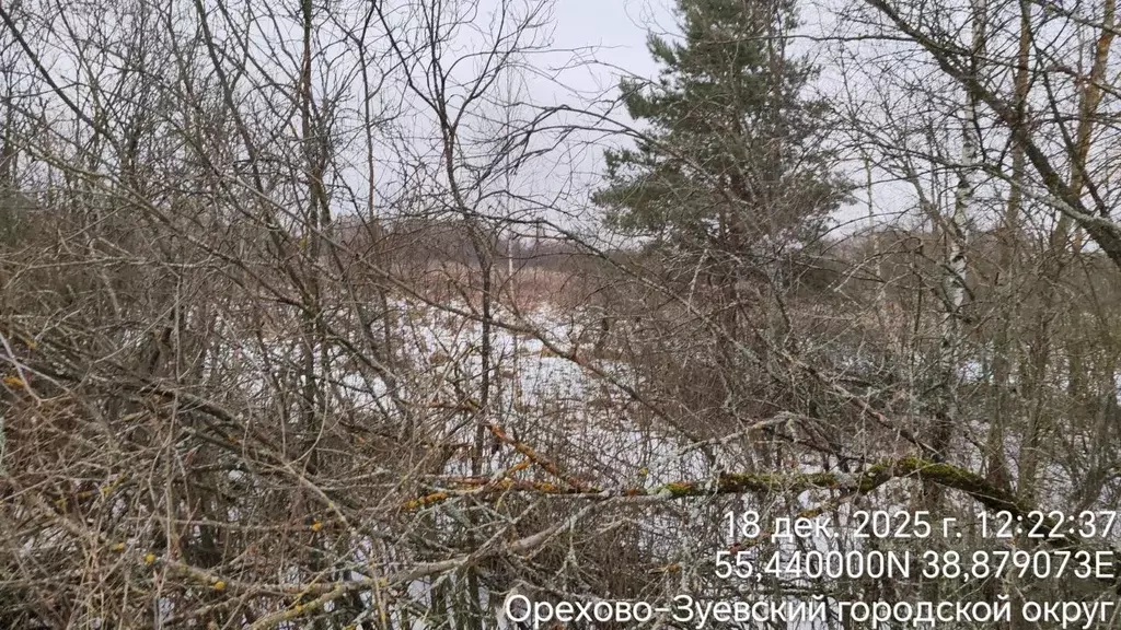 Участок в Московская область, Орехово-Зуевский городской округ, д. ... - Фото 1