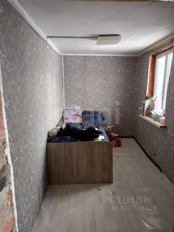 Дом в Кемеровская область, Березовский Железнодорожная ул., 20 (33 м) - Фото 1