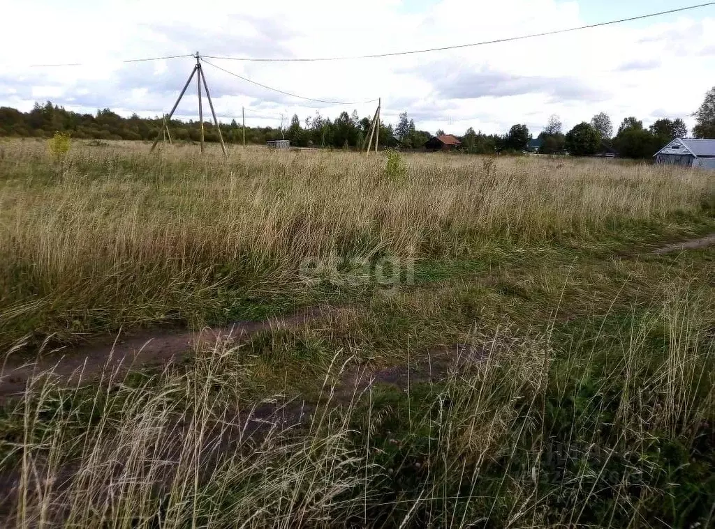Участок в Вологодская область, д. Коробово  (16.26 сот.) - Фото 1