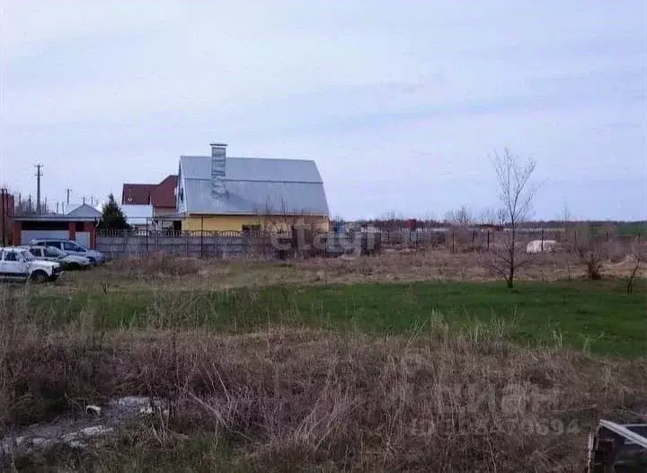 Участок в Саратовская область, Воскресенский район, Елшанское ... - Фото 0