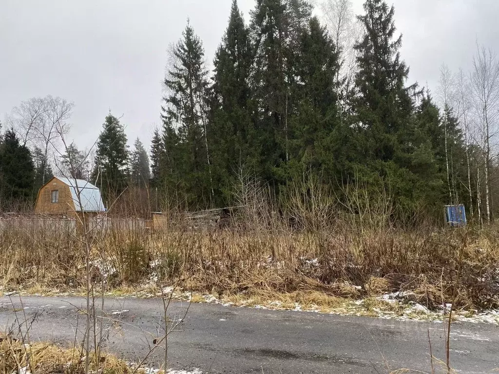 Участок в Московская область, Щелково городской округ, Заозерный СНТ  ... - Фото 1