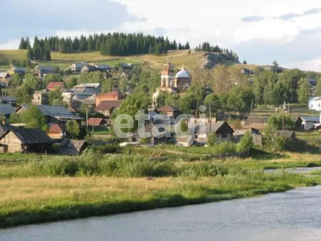 Участок в Свердловская область, Нижний Тагил городской округ, с. ... - Фото 0