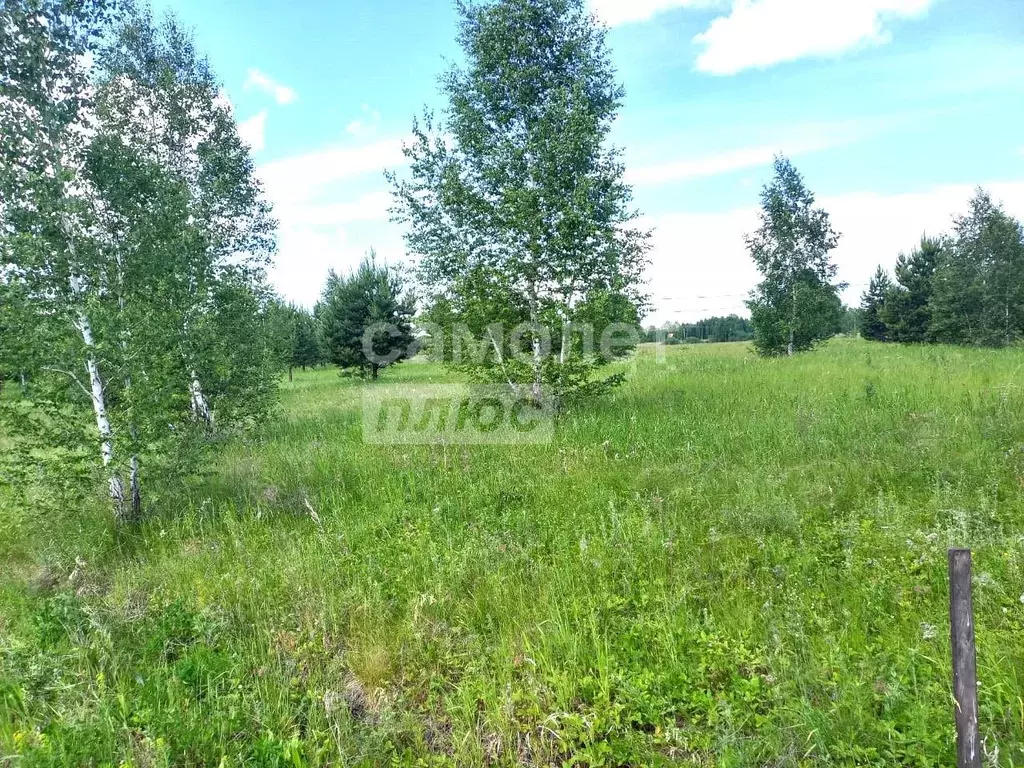 Участок в Курганская область, Кетовский муниципальный округ, Южный ДНТ ... - Фото 1