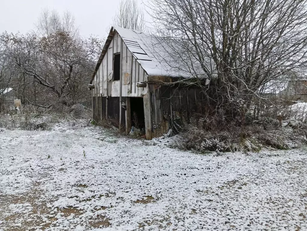 Участок в Московская область, Клин городской округ, д. Елгозино ул. ... - Фото 1