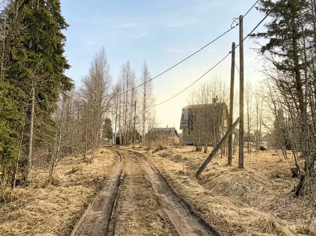 Участок в Карелия, Прионежский район, Нововилговское с/пос ул. ... - Фото 1