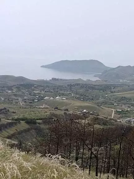 Участок в Крым, Феодосия муниципальный округ, Рассвет-2 СПК  (13.0 ... - Фото 1