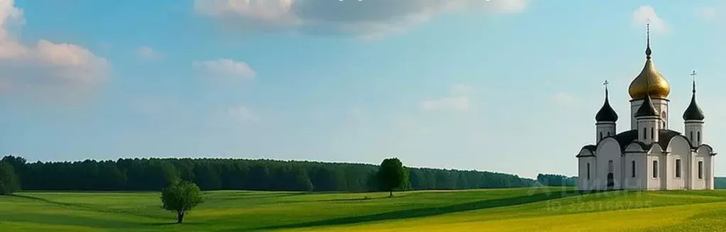 Участок в Калужская область, Козельский муниципальный округ, Бурнашево ... - Фото 2