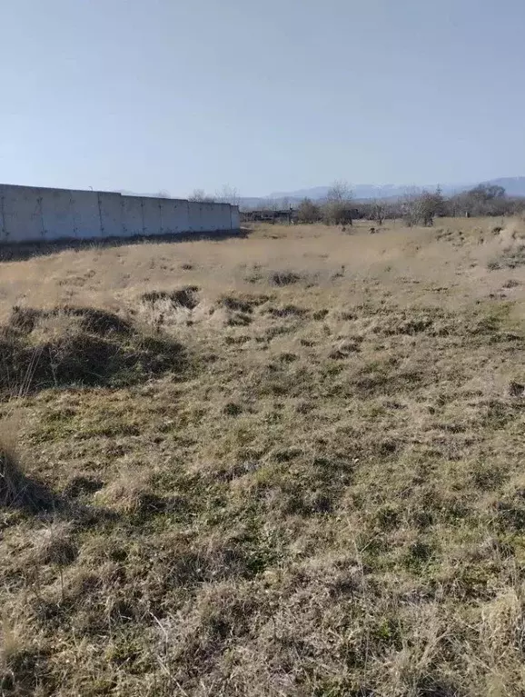 Участок в Крым, Белогорский район, с. Чернополье  (14.56 сот.) - Фото 1